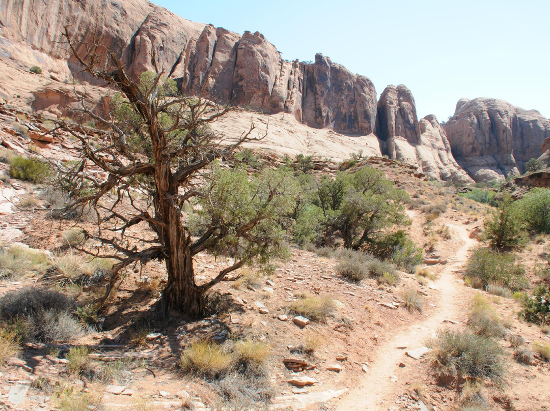 Grandstaff Canyon Trail景点图片