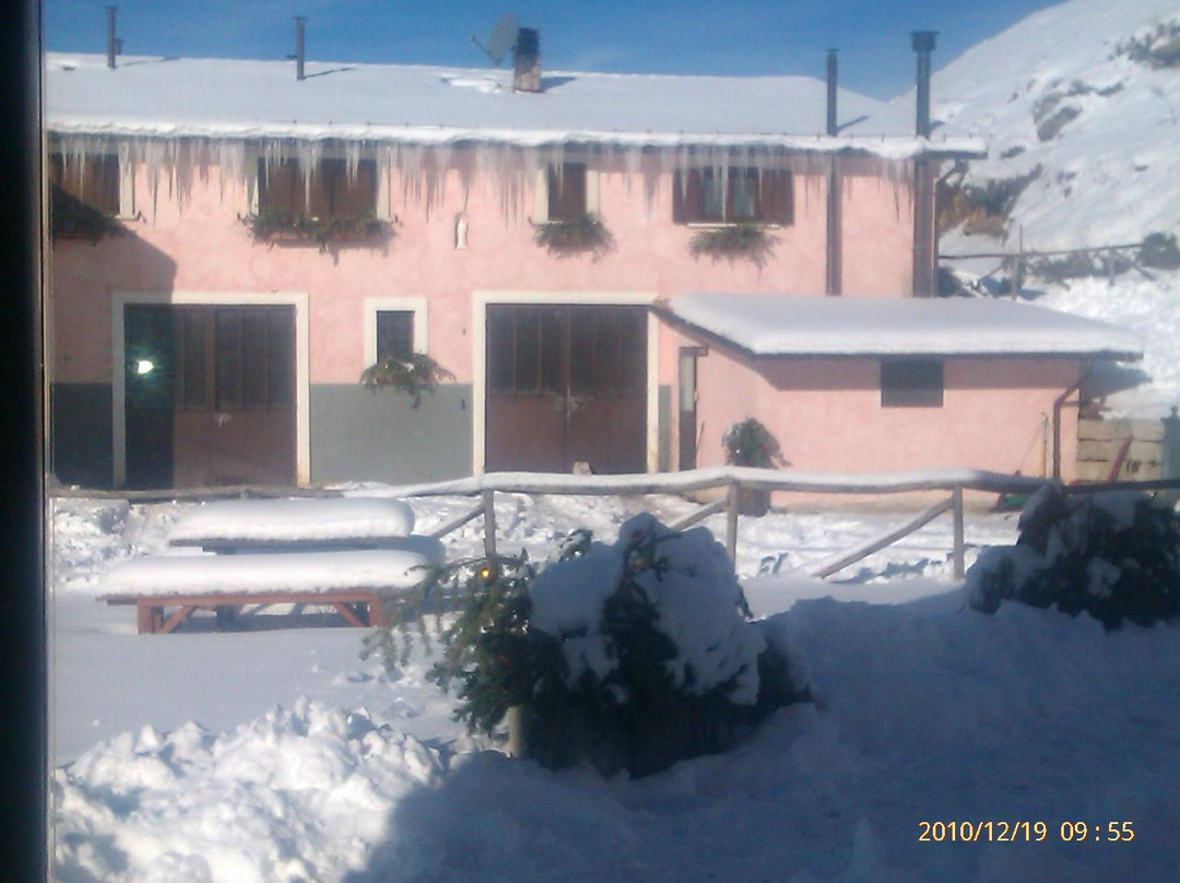 Azienda Agricola Giuliana