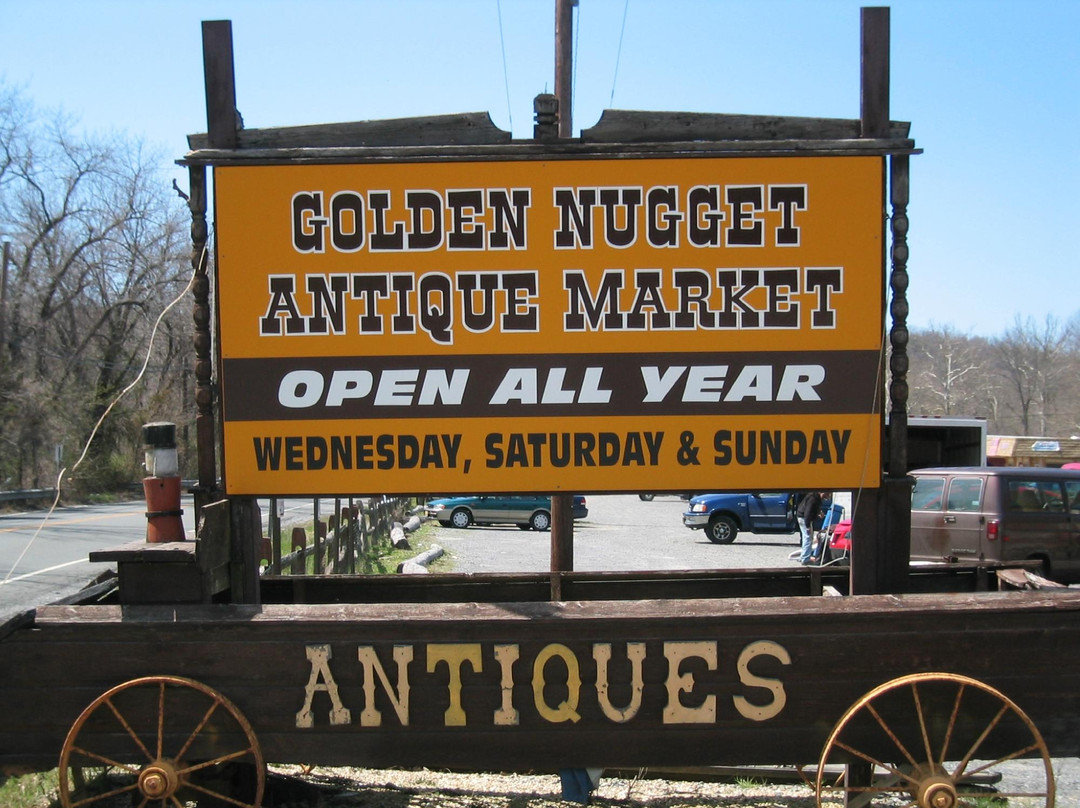 Golden Nugget Antique Market景点图片