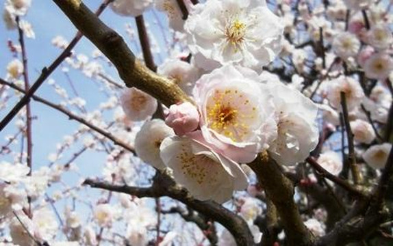 长居公园-大阪市必去景点