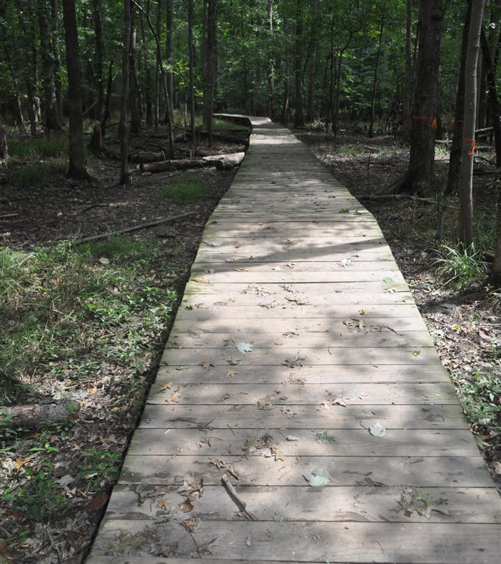 Bull Run Regional Park景点图片