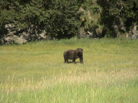 Homer Flyout Adventures-荷马必去景点