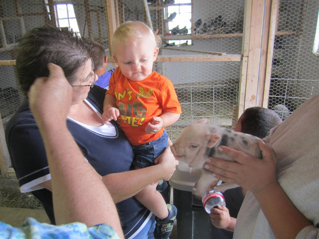 Erickson's Petting Zoo-Osakis必去景点