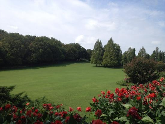 Parco Giardino Sigurtà景点图片