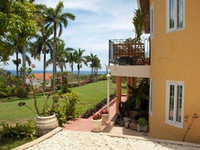 Birds Eye View主图