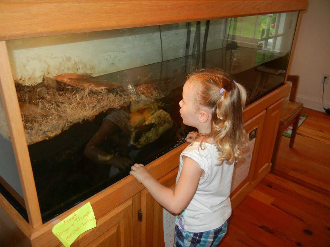 Bethany Beach Nature Center-Bethany Beach必去景点