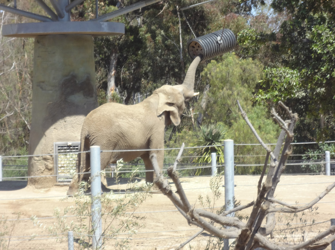 圣地亚哥动物园-圣地亚哥必去景点