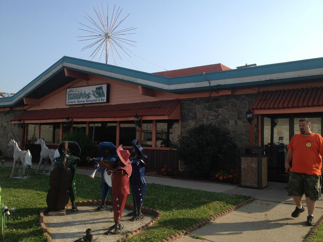 Clarksville餐馆和美食-Senor Iguanas