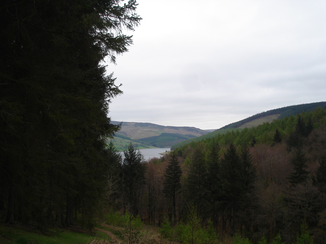 Derwent Dam景点图片