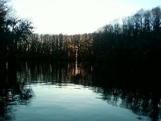 Captain Ron's Swamp Tours-Karnack必去景点