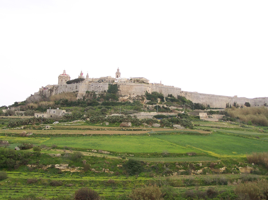 姆迪纳老城-姆迪纳必去景点