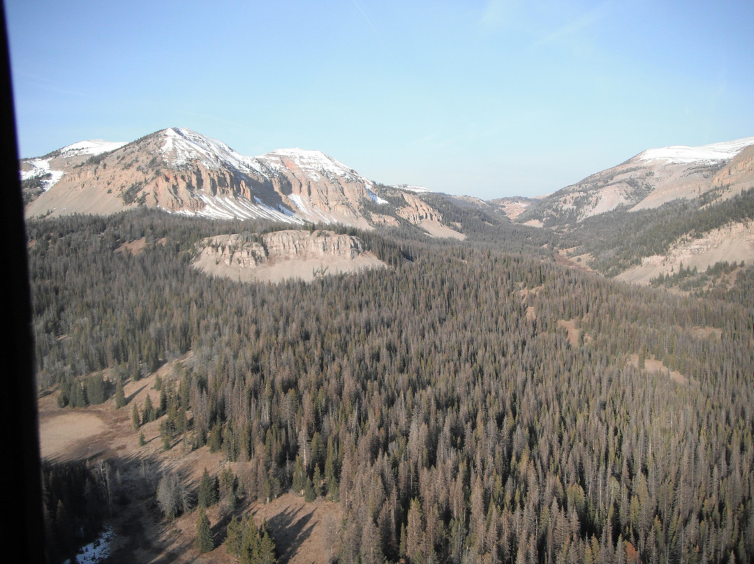 Rocky Mountain Rotors-Manhattan必去景点