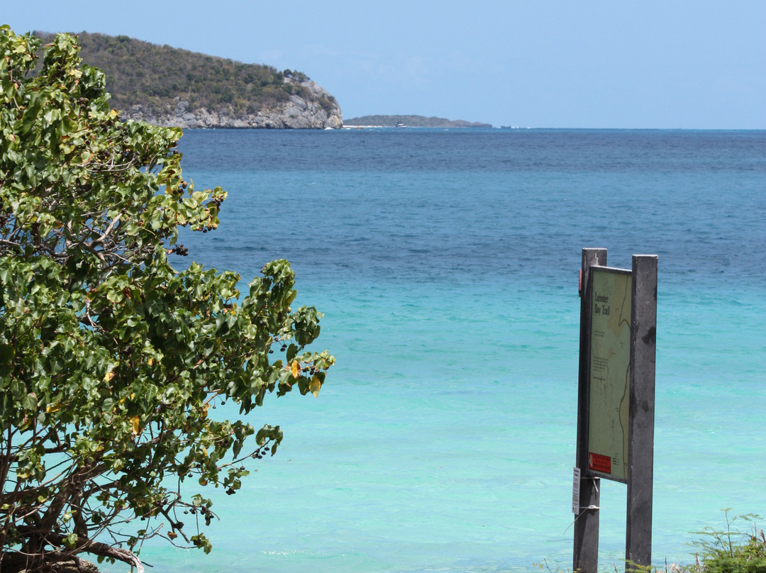 Leinster Bay-维尔京群岛国家公园必去景点