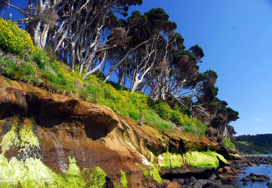 Fossil Bluff-温耶德必去景点