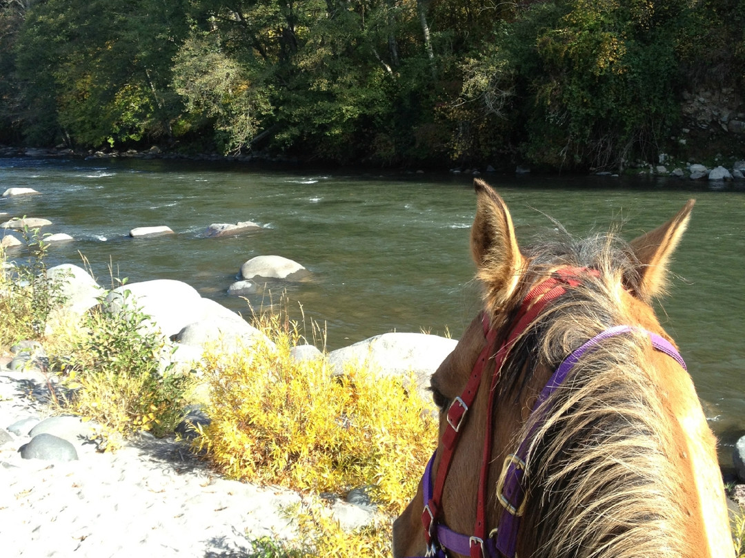 Double Mountain Ranch-胡德里弗必去景点