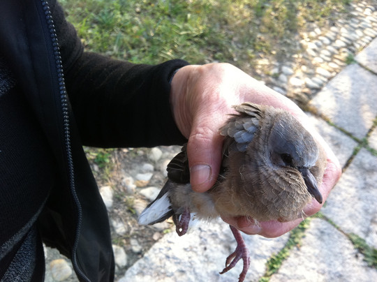 淀山湖-上海市必去景点