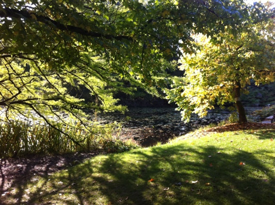 温哥华植物园-温哥华必去景点