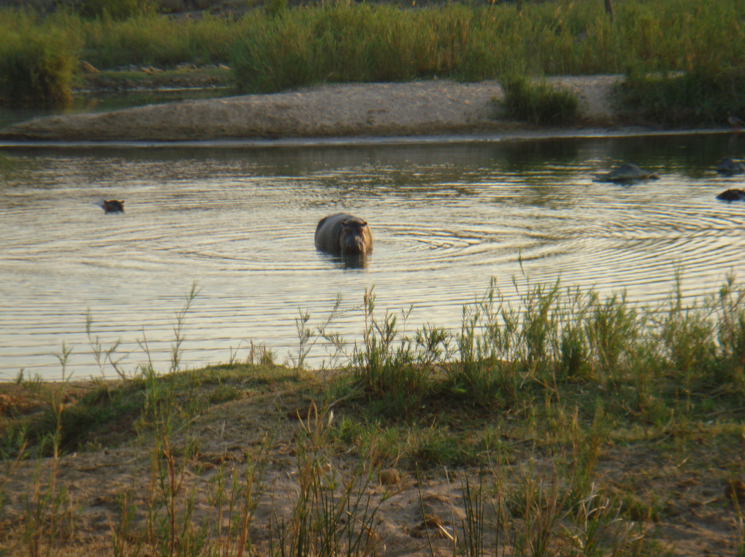 Hans Merensky Golf Estate-伐拉博瓦必去景点