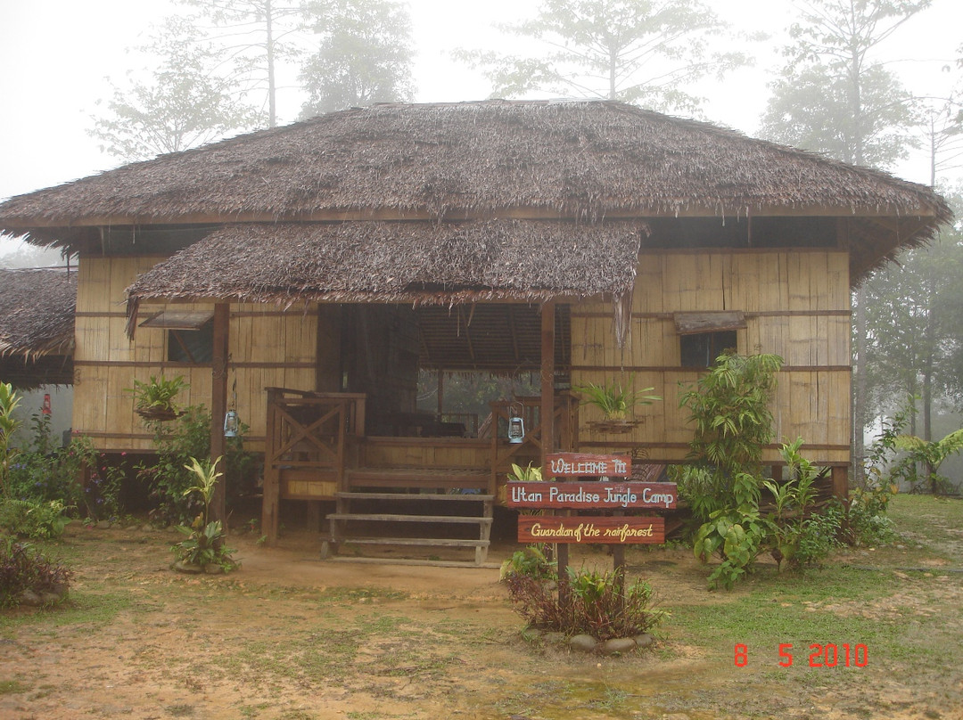 Utan Paradise Jungle Camp