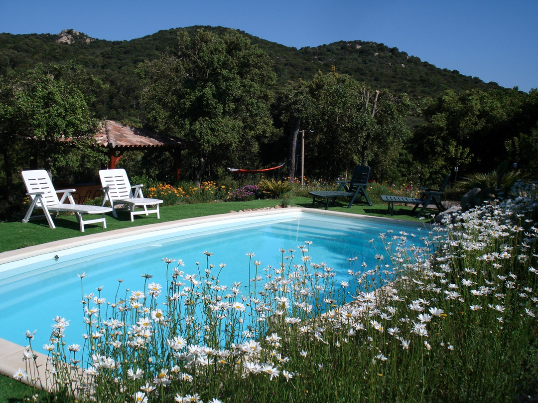 Belvedere-Campomoro酒店住宿-Cantu di U Grillu