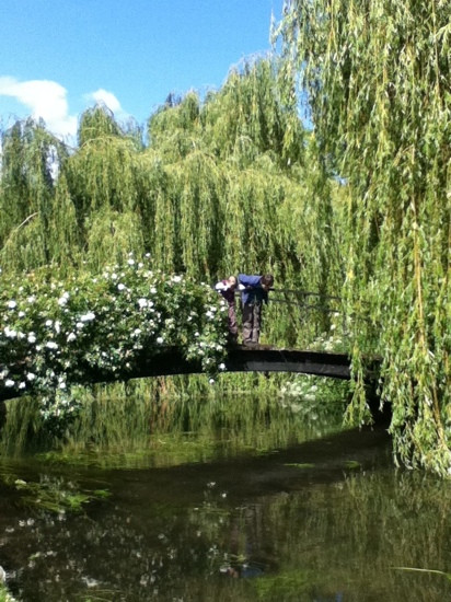Mottisfont Abbey-Mottisfont必去景点