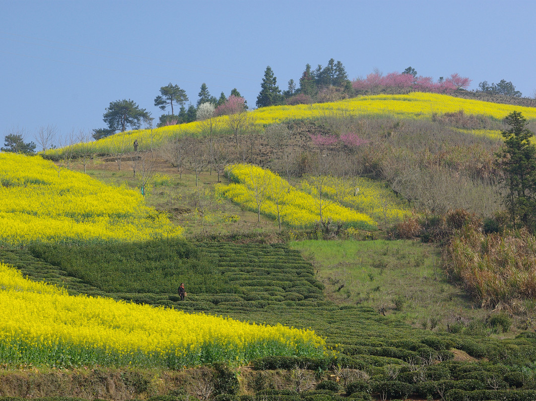 石潭村-歙县必去景点