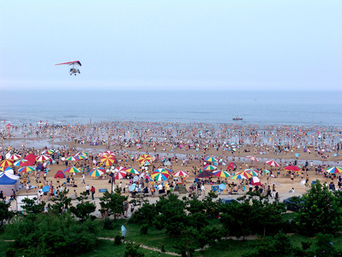日照海滨森林公园-日照市必去景点