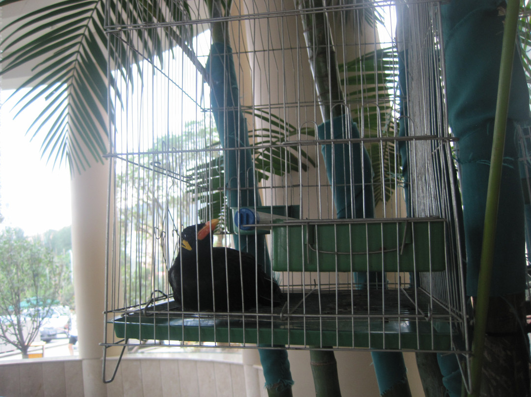 烟台丽景海湾酒店(第二海水浴场渔人码头店)主图