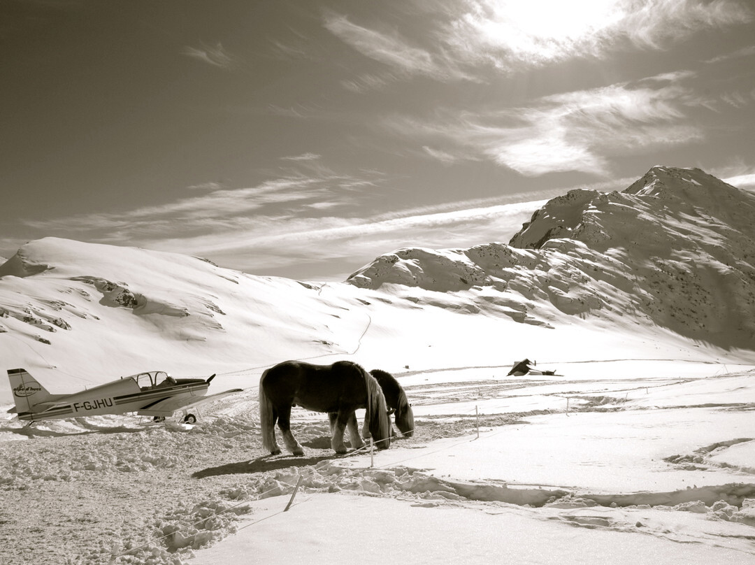 Aeroclub de l'Alpe d'Huez景点图片