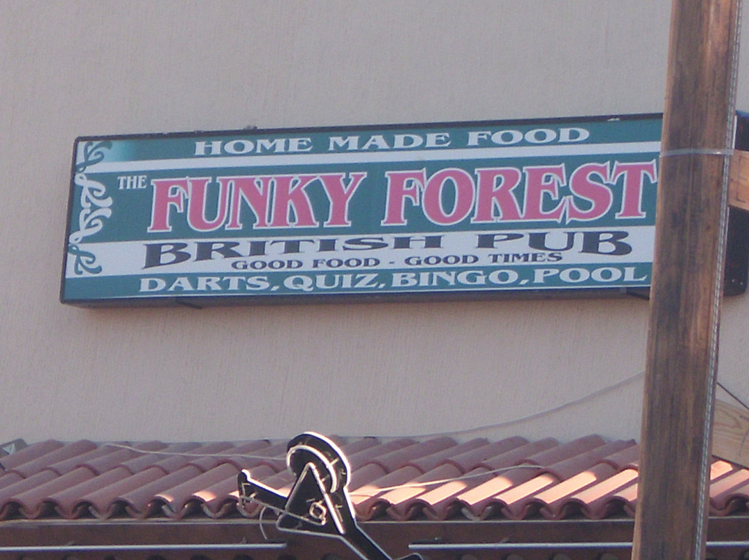 Funky Forest Bar