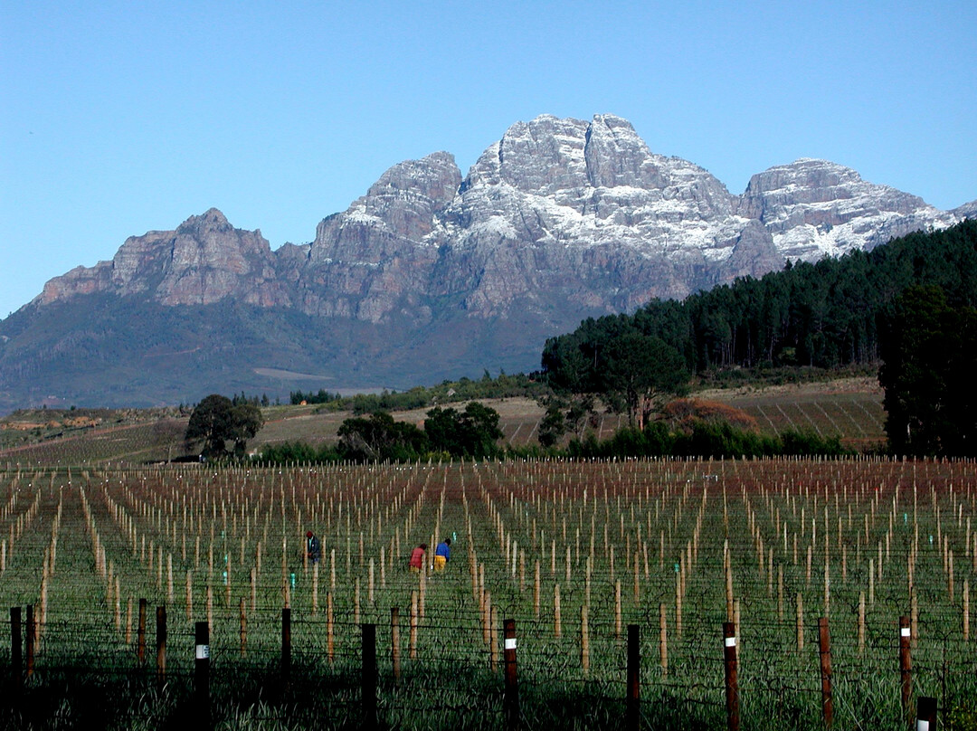 Lynx Wine-法兰舒克必去景点