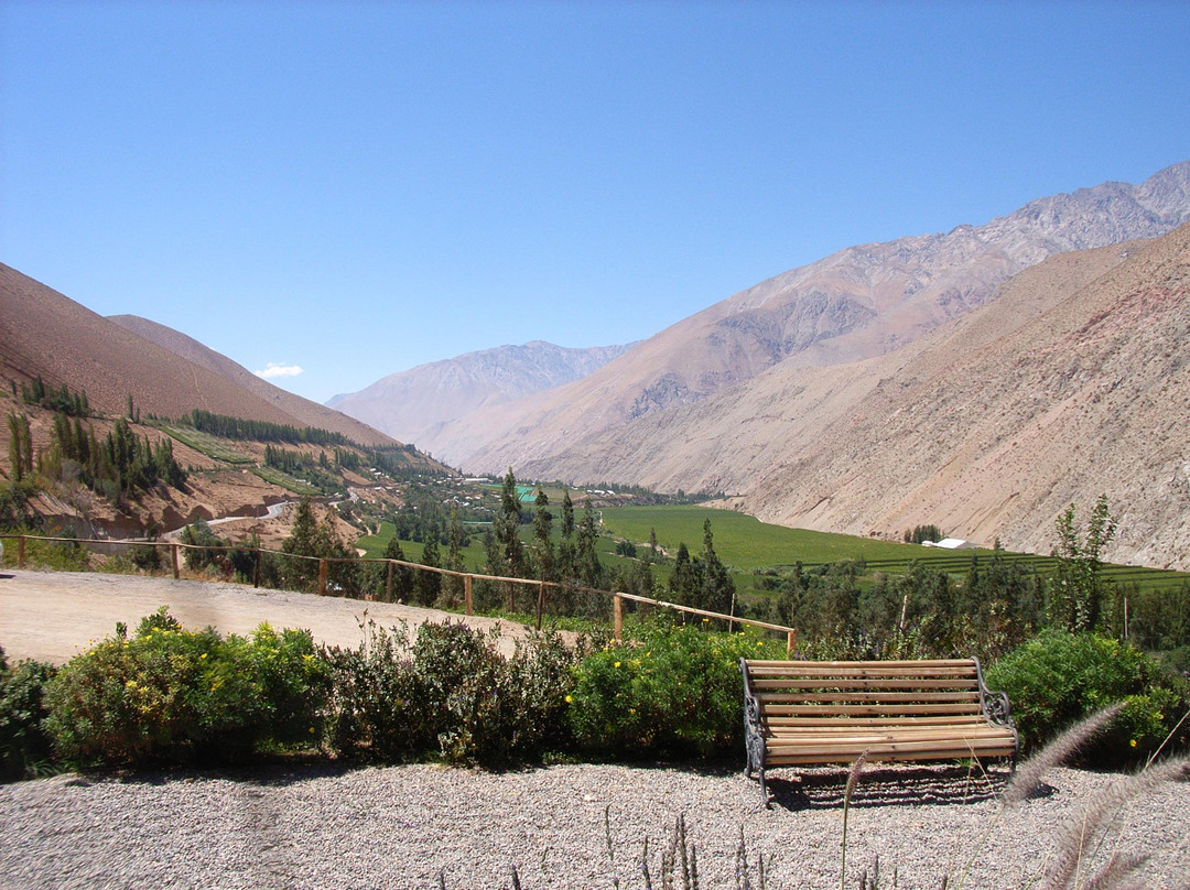 Pisco Elqui餐馆和美食-Hacienda Miraflores