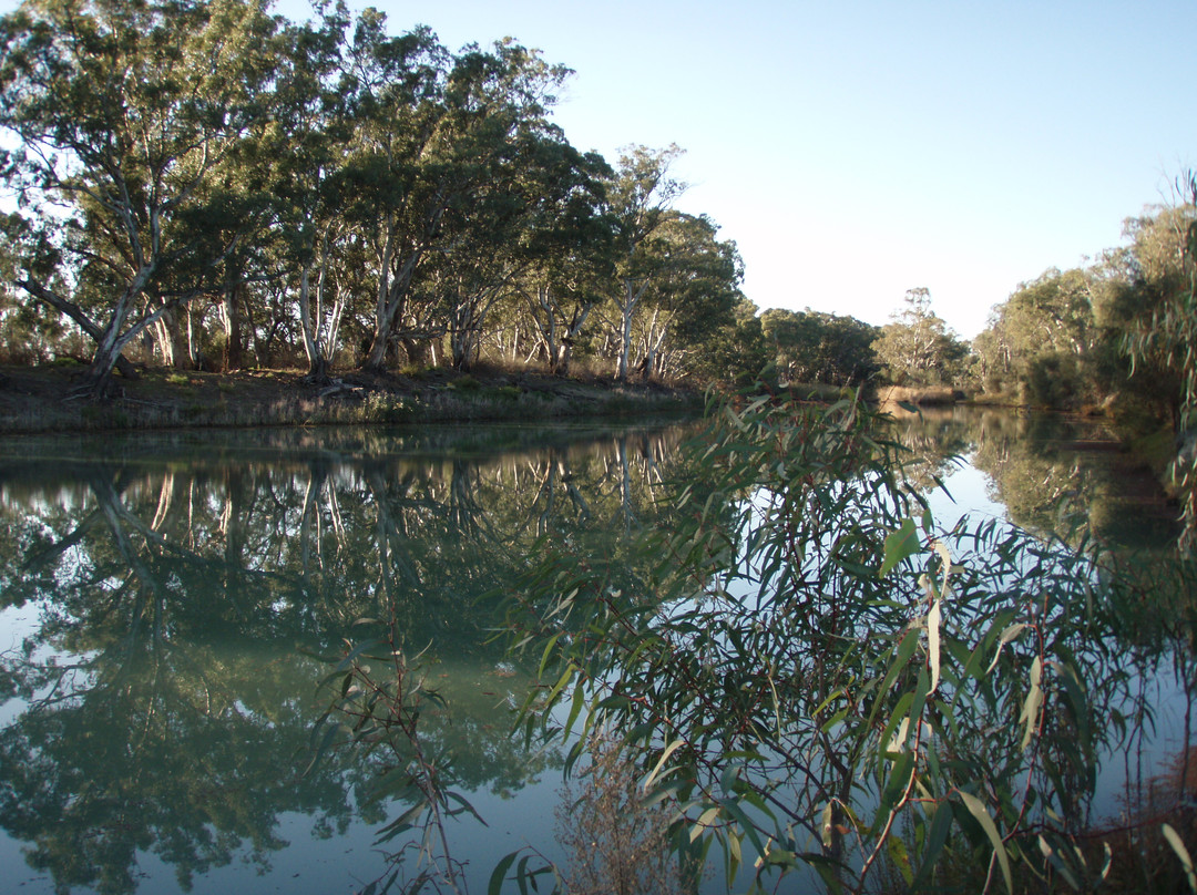 Murray River-新南威尔士州必去景点