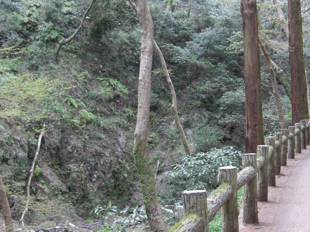 箕面公园-美浓市必去景点