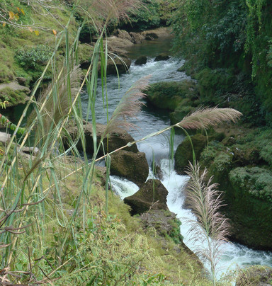 Devi's Fall-博卡拉必去景点