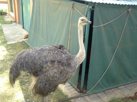 Ma Cachette B&B主图