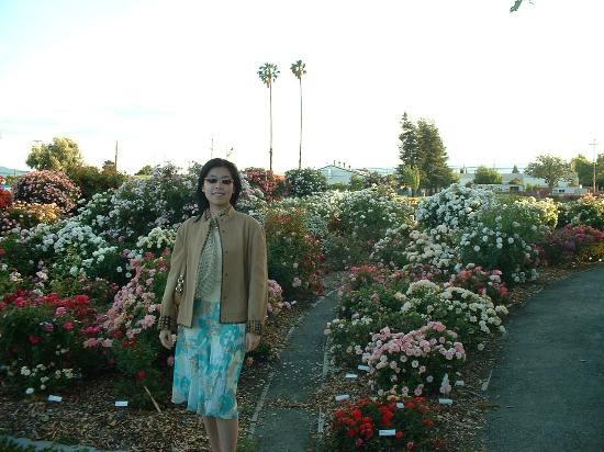 Heritage Rose Garden-圣何塞必去景点