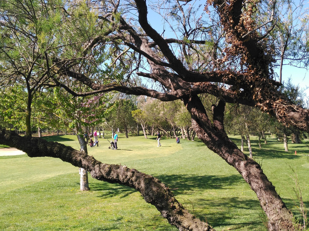 Pitch & Putt Castello Empuriabrava景点图片
