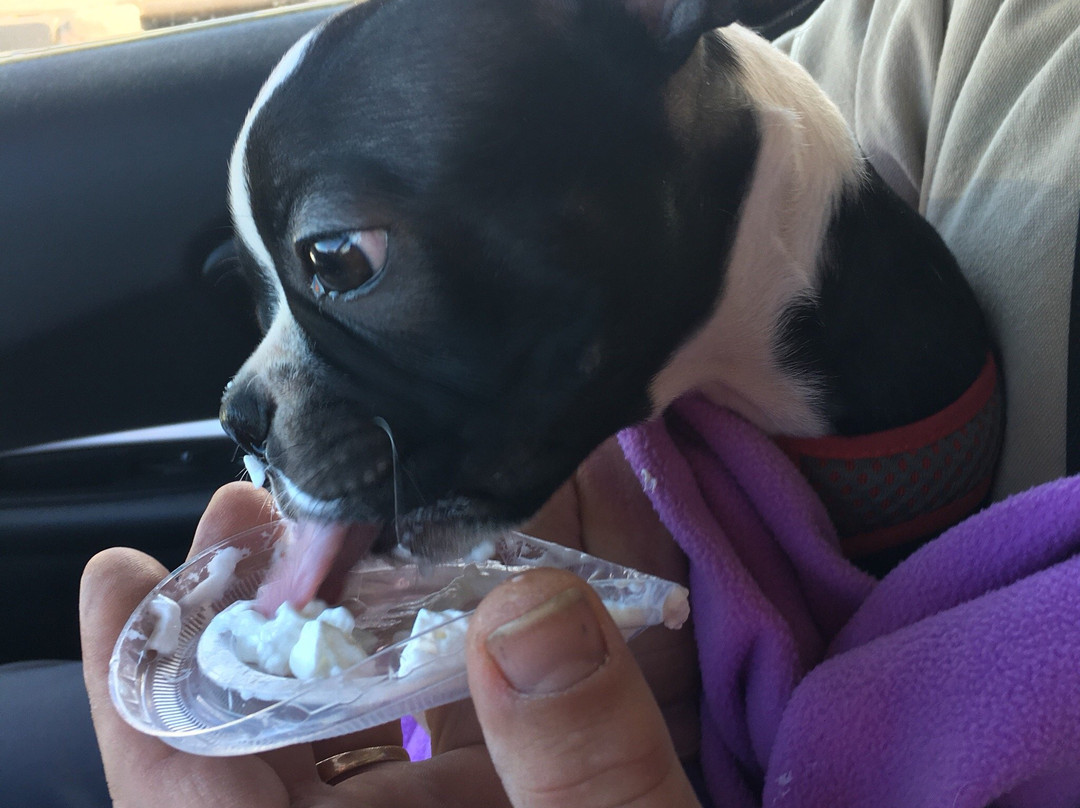 Derby Marketplace Starbucks