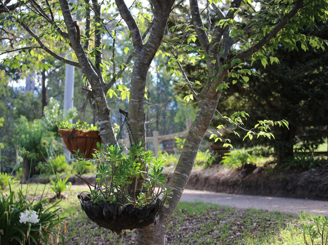 贝加酒店住宿-Fernmark Inn