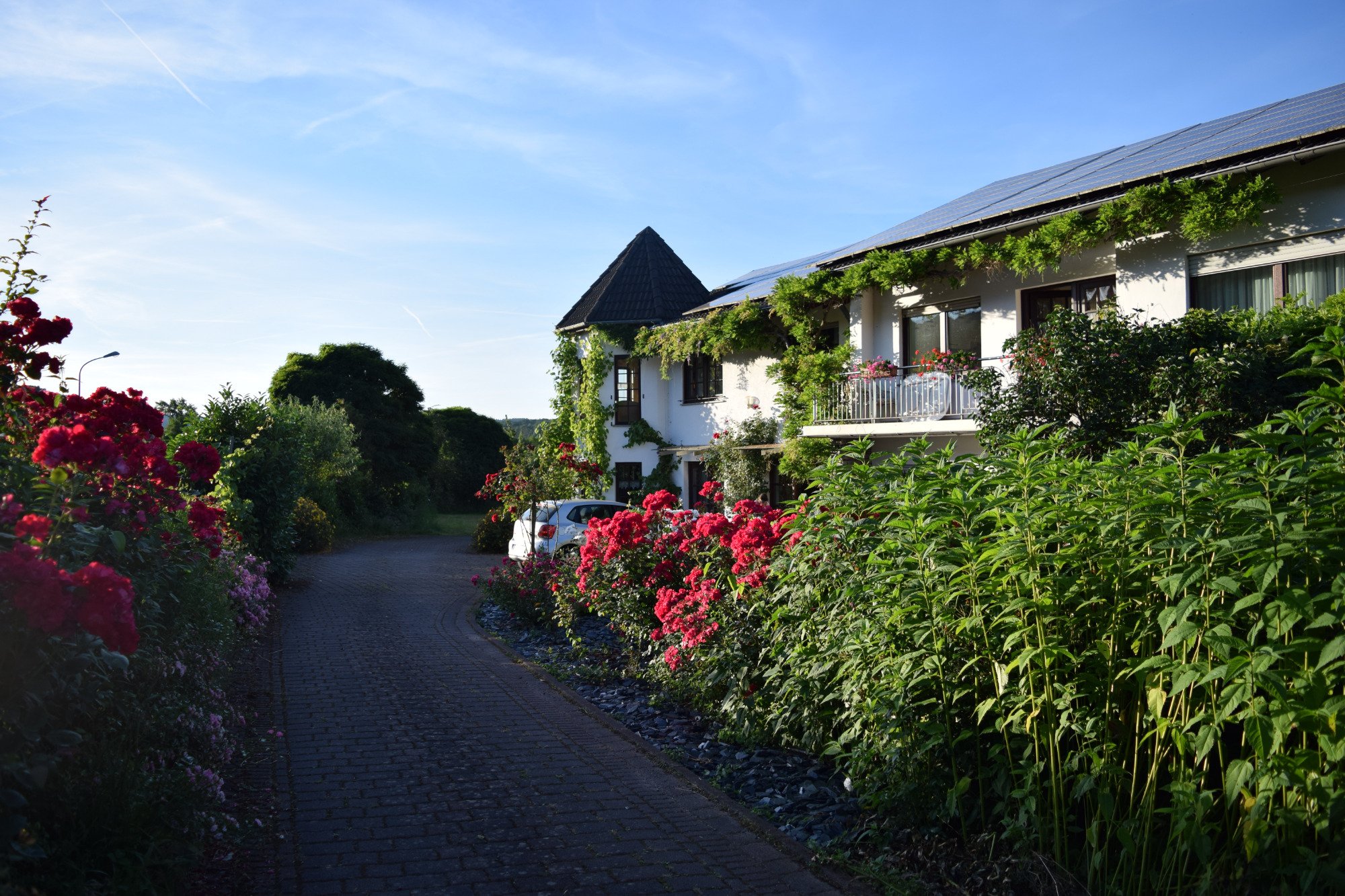 Pension Raevenhof-浴室