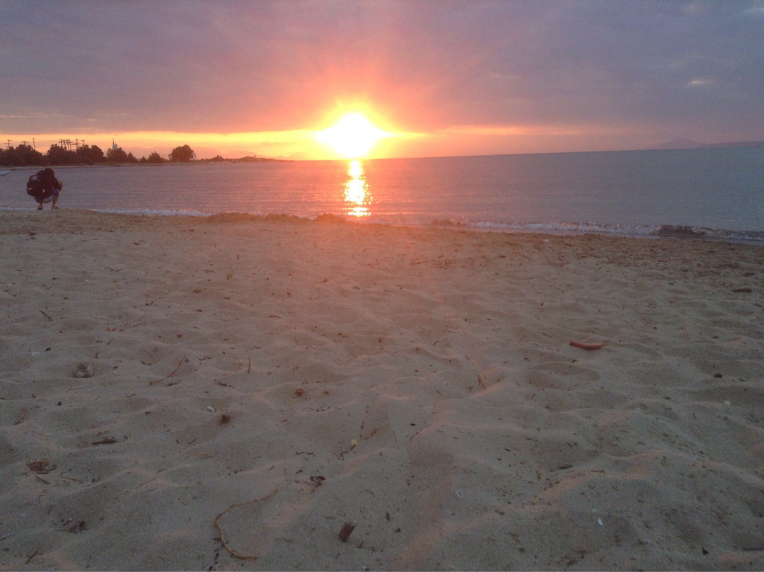 Thalassa All Day Cafe-bar