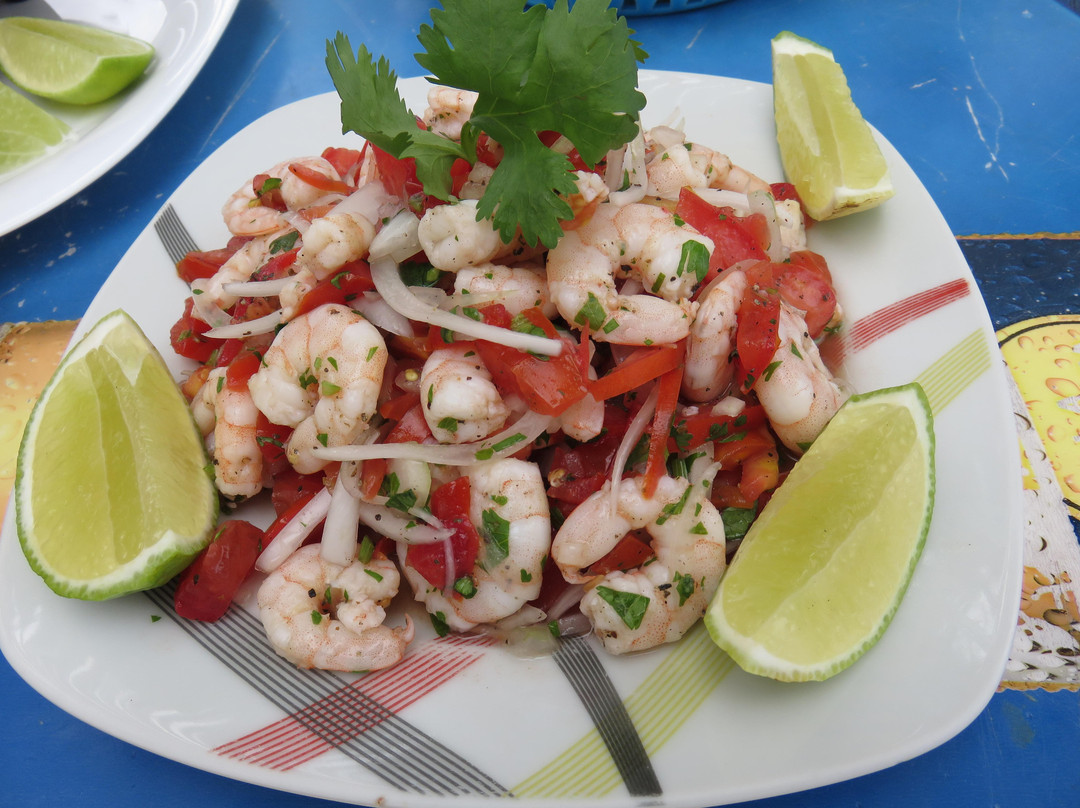 Mahahual餐馆和美食-Tropicante Ameri-Mex Grill