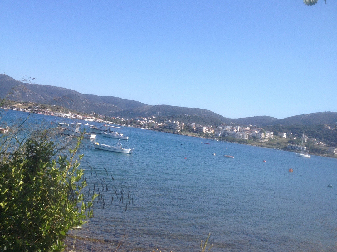 Porto Rafti餐馆和美食-Mojo Cafe