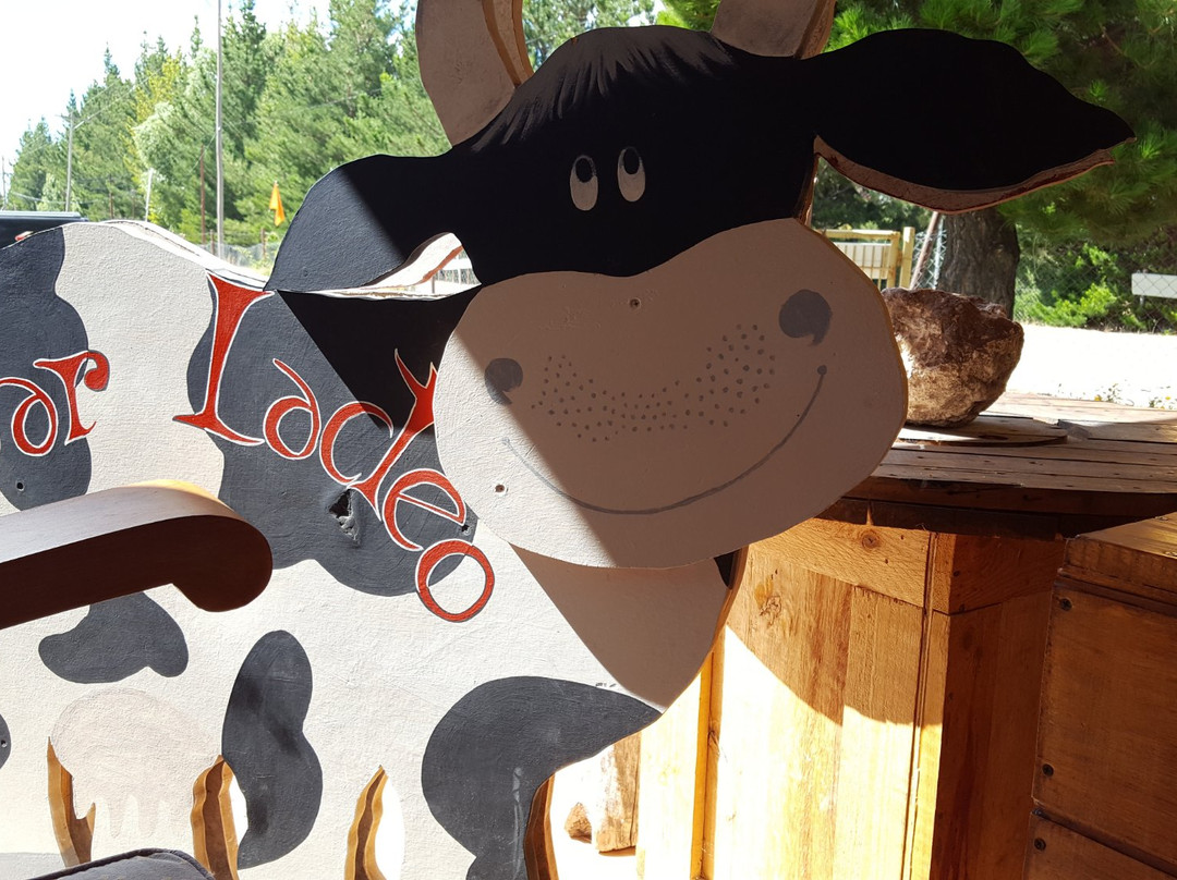 Los Antiguos餐馆和美食-Chacra La Nueva Shepetovka