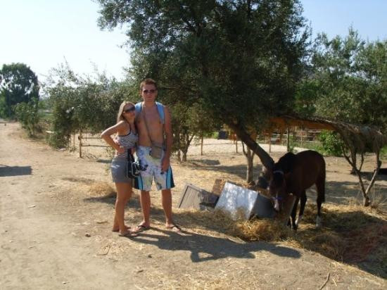 Mandatoriccio旅游攻略图片