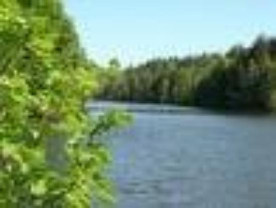 Ebnisee旅游攻略图片