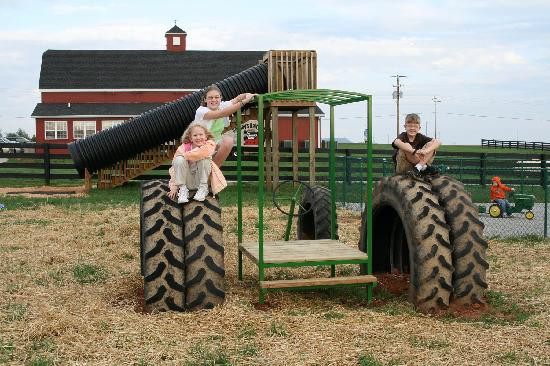 Chaney's Dairy Barn-鲍灵格林必去景点