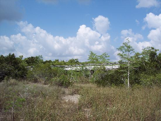 Pa-hay-okee Trail-大沼泽国家公园必去景点