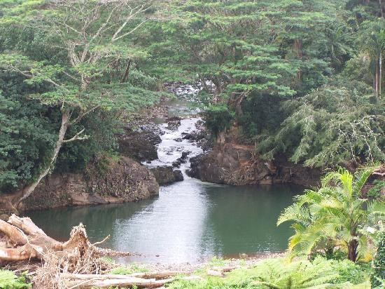 Kauai's Hindu Monastery-卡帕阿必去景点